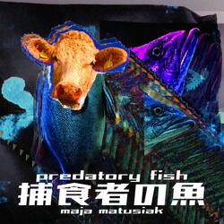 predatory fish
