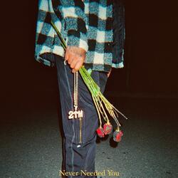 Never Needed You (Outro)