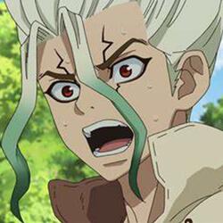 Dr. stone