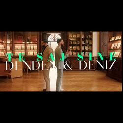 Te Saj Sine (feat. Deniz)