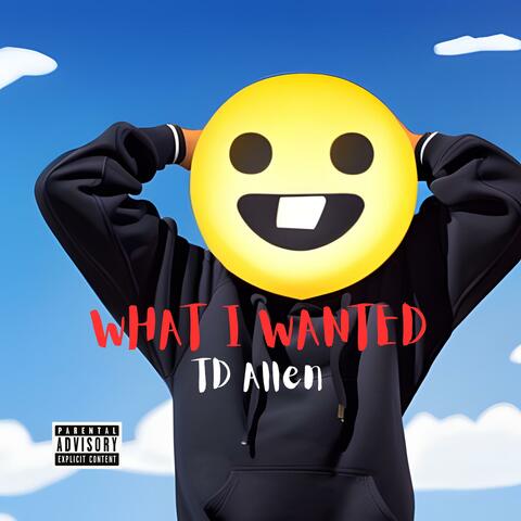 What I Wanted