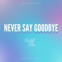 Never Say Goodbye
