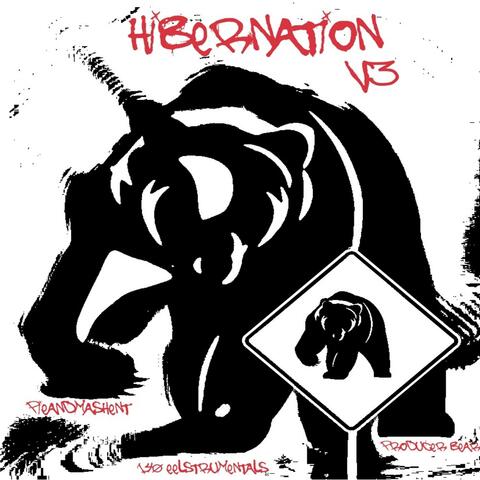 Hibernation V3