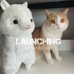 LAUNCHING