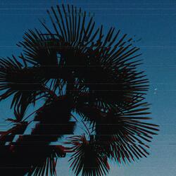 Vară fără sfârșit