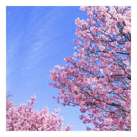 shining (feat. Hyland Park & Zai)