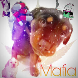 MAFIA
