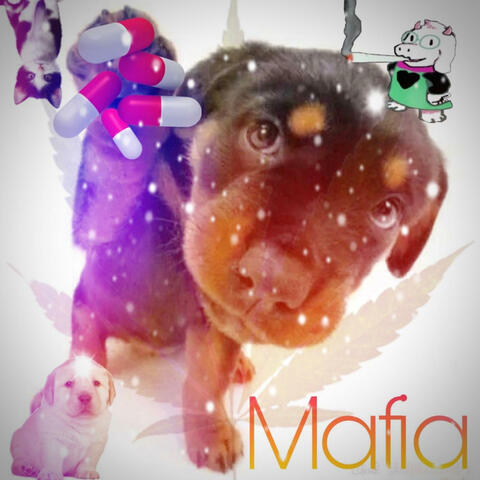MAFIA