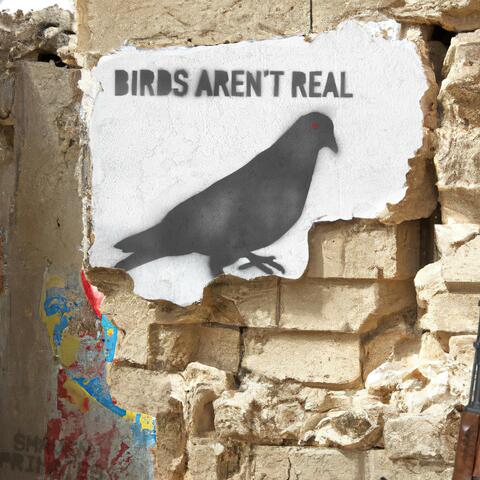 Birds Aren't Real