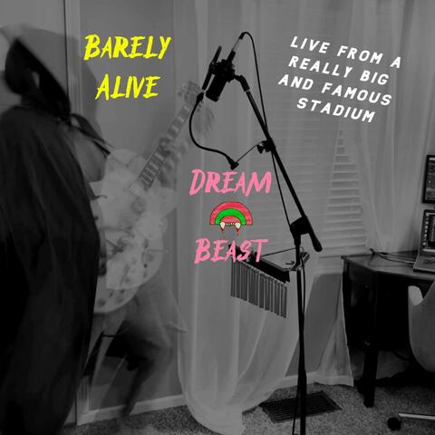 Barely Alive: Live From A Really Big And Famous Stadium