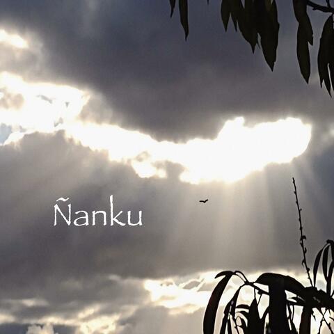 Ñanku