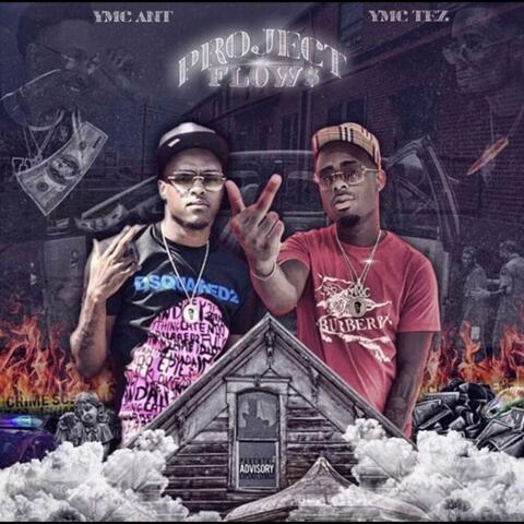 Project Flows