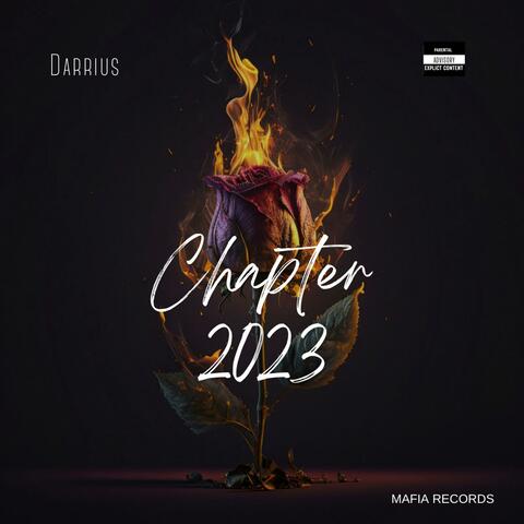 Chapter 23