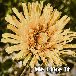 Me Like It