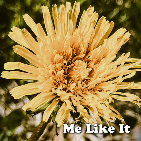 Me Like It