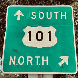 101
