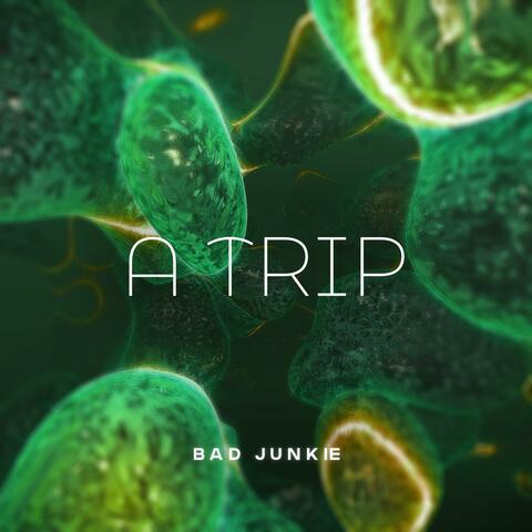 A Trip