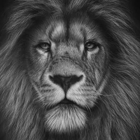 KING BACK