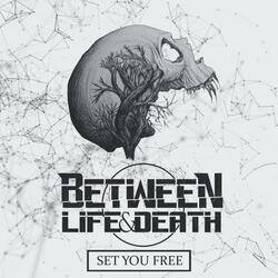 Set You Free