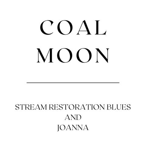 Stream Restoration Blues and Joanna