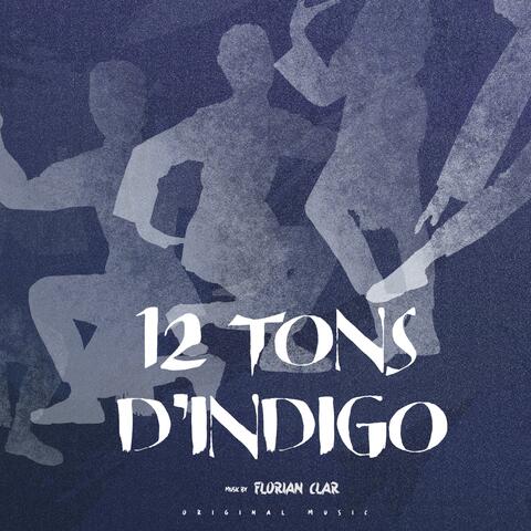 12 Tons d'Indigo (靛青十二调)
