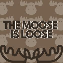 The Moose Is Loose
