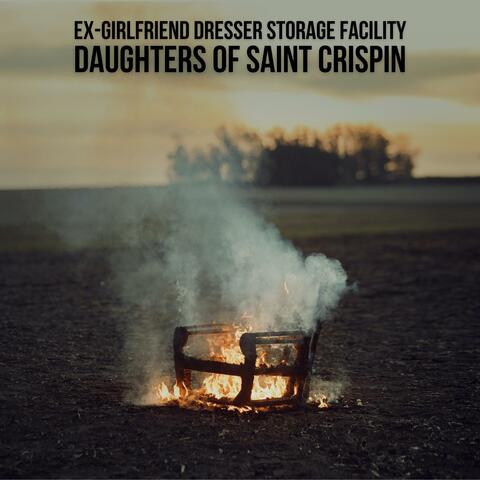 Ex-Girlfriend Dresser Storage Facility