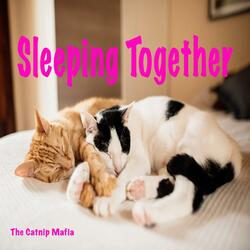 Sleeping Together