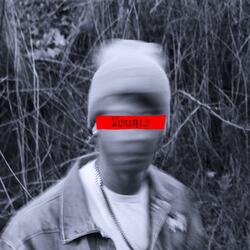 Visuals (feat. L!tino)