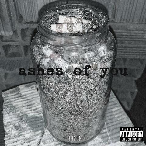 Ashes of you