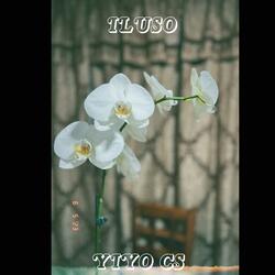 ILUSO