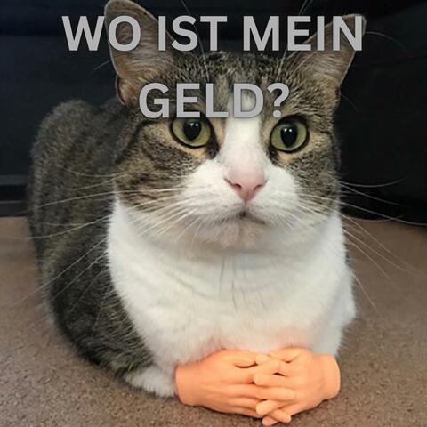 du bist schuld (feat. Aaim)