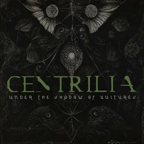 Under The Shadow Of Vultures