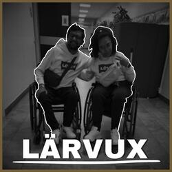 Lärvux - (kör)