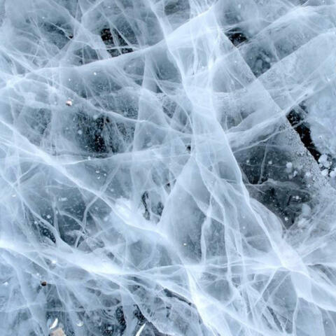 FOREVER COLD (feat. AKVRI)
