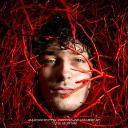 NO MORE PARTIES IN AHO skit