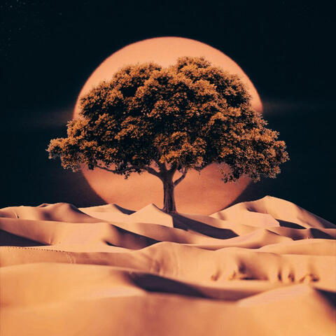 Arid