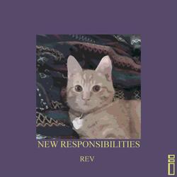 New Responsibilities