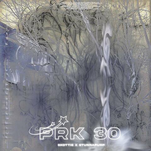 prk-30 (feat. Stunnapurp)