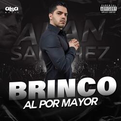 Brinco Al Por Mayor