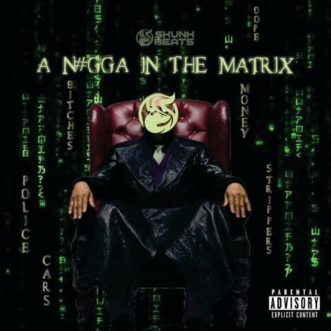 A NIGGA IN THE MATRIX