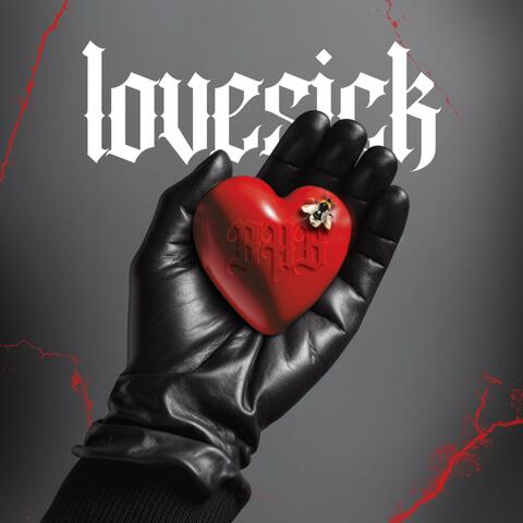 lovesick (BHB) </3