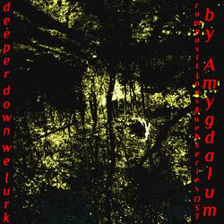 Nonfunctional Hydration