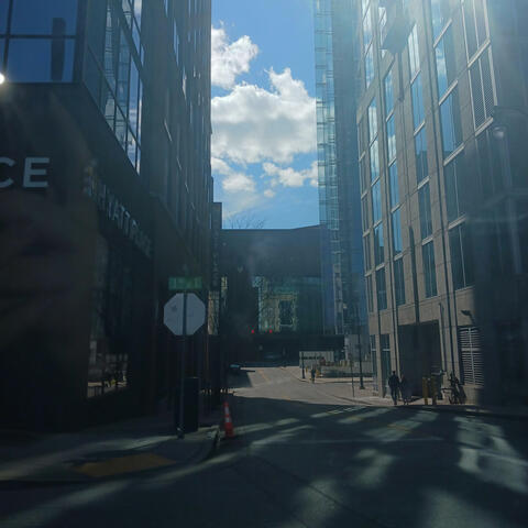 Blue Light and the Bloody Concrete (State Law)