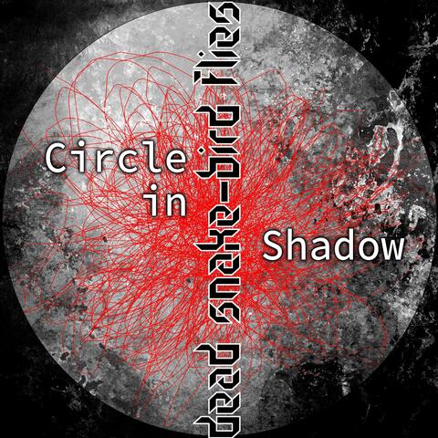 Circle in Shadow