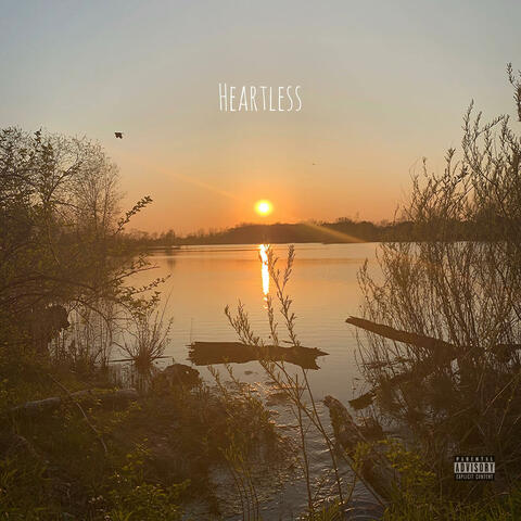 Heartless (feat. DDOSS)