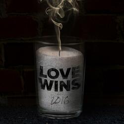 Love Wins (feat. Demond Green, Danny Ursetti & Lauren Taslitz)