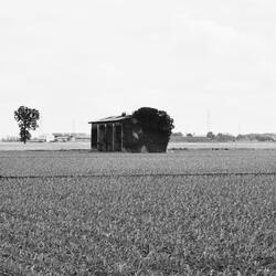 Presagi & Premonizioni (feat. Ilon)