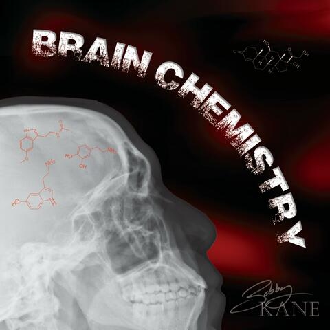 Brain Chemistry