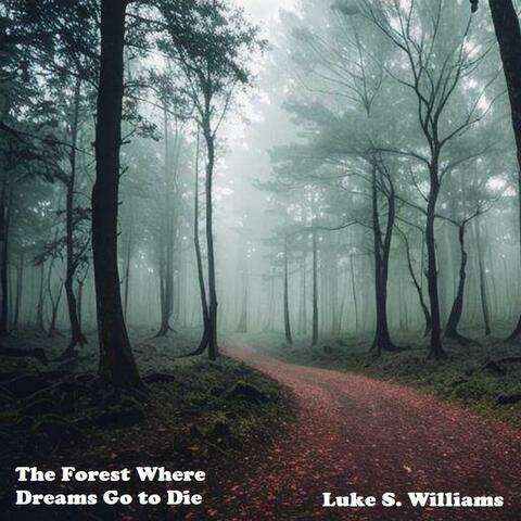 The Forest Where Dreams Go to Die